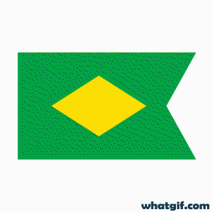 Explore 25+ Brazil Flag GIFs for Free on WhatGif 26 animated Brazil batch gif