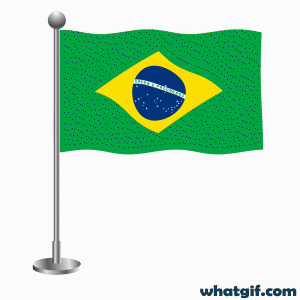 Explore 25+ Brazil Flag GIFs for Free on WhatGif 25 animated Brazil flag