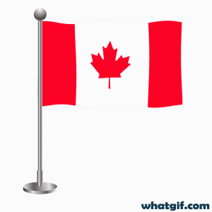 Download Free Animated Canada Flag GIFs | What GIF 2 animated Canada flag .gif