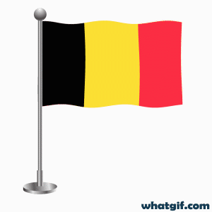 Vibrant Belgium Flag GIFs to download - Free at WhatGif 2 animated belgium flag