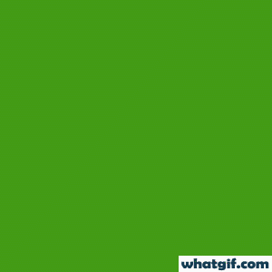 Download Free 25+ Bangladesh Flag GIFs at WhatGif 15 bangladesh flag star gif