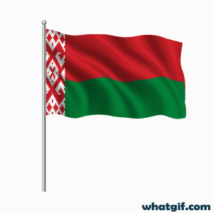 belarus realistic flag gif