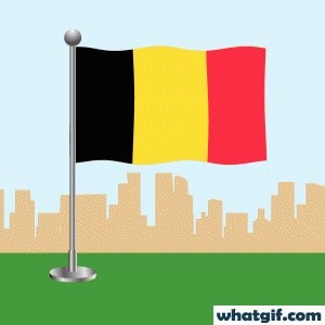 Vibrant Belgium Flag GIFs to download - Free at WhatGif 19 belgium flag waving gif