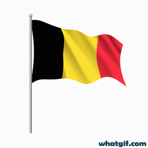 Vibrant Belgium Flag GIFs to download - Free at WhatGif 21 belgium realistic flag gif