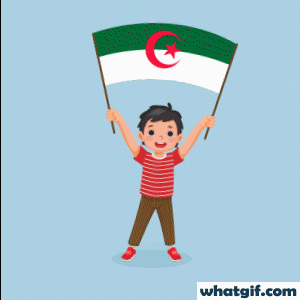 Download Free Animated Algerian Flag GIFs Today | WhatGif 23 boy with Algeria flag gif.gif