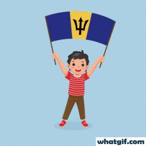 Download 25+ Vibrant Barbados Flag GIFs Free | WhatGif 23 boy with Barbados flag gif