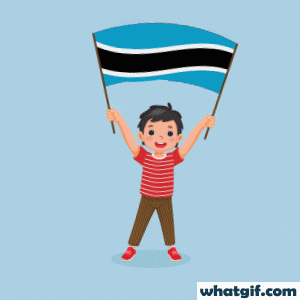 Download 25+ Free Botswana Flag GIFs at WhatGif 23 boy with Botswana flag gif