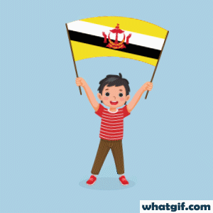Download 25+ Brunei Flag GIFs for Free at WhatGif 24 boy with Brunei flag gif