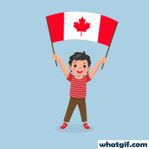 Download Free Animated Canada Flag GIFs | What GIF 3 boy with Canada flag gif.gif
