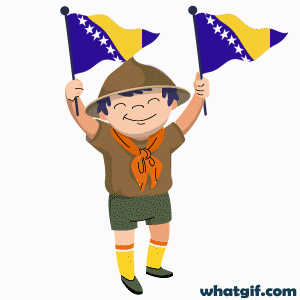 Free Bosnia & Herzegovina Flag GIFs on WhatGif 3 cute boy Bosnia and Herzegovina flag gif