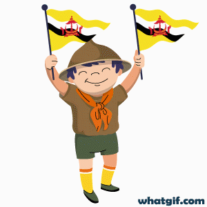 Download 25+ Brunei Flag GIFs for Free at WhatGif 3 cute boy Brunei flag gif