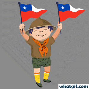 Free Animated Chile Flag GIFs to Download| WhatGIF 8 cute boy Chile flag gif