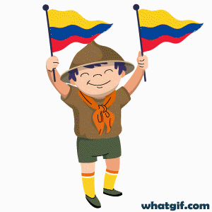 Download Colombia Flag GIFs Free | WhatGIF 24 cute boy Colombia flag gif
