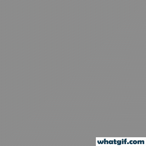 Free Bulgaria Heritage Flag GIFs on WhatGif 2 driving with Bulgaria flag gif