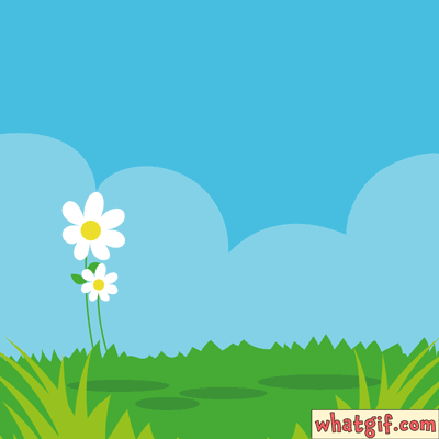 Happy First Birthday Animated GIFs | 1 Click Free Download 2 1st Birthday Animals Gif